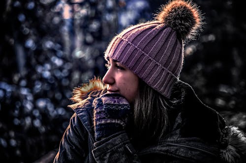 Free stock photo of canadian, cold, cute