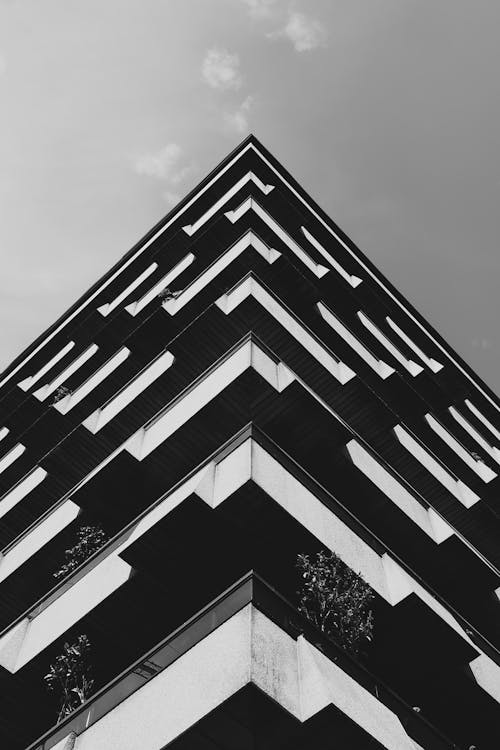 建築物的灰度照片