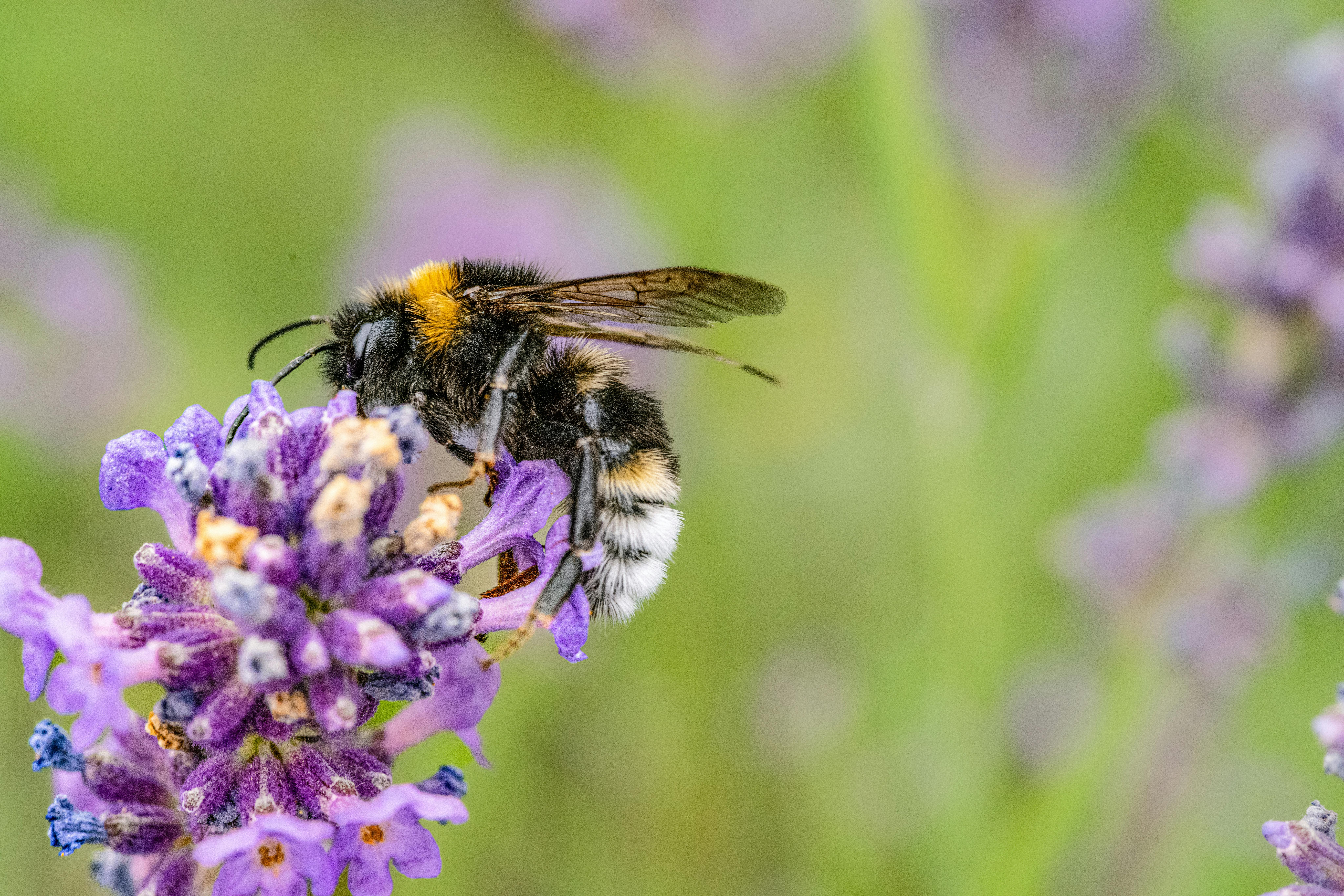 Unleashing the Power of Herbs and Spices
