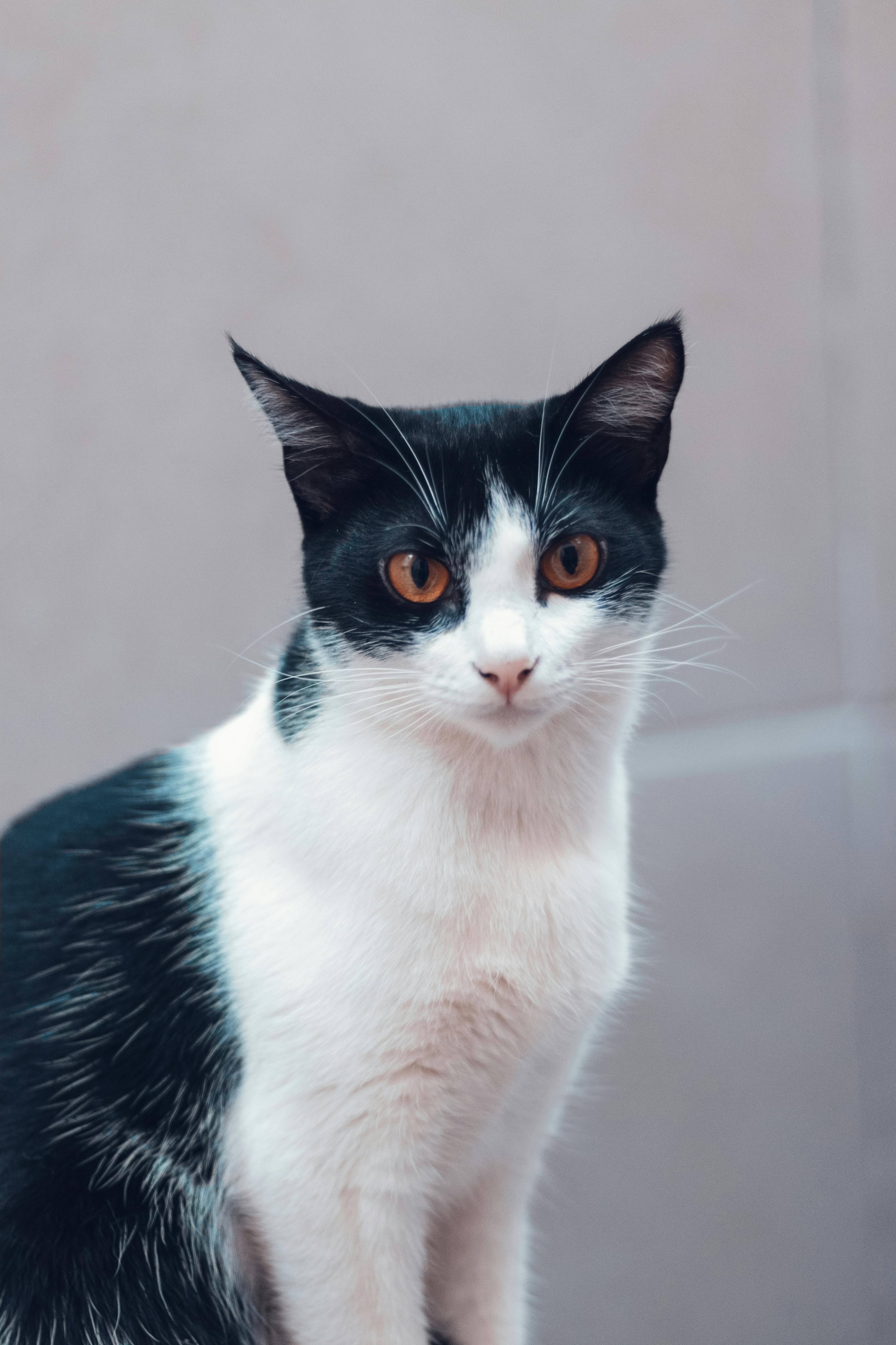 Colorful grain bowl topped with vegetables and seeds on a wooden table