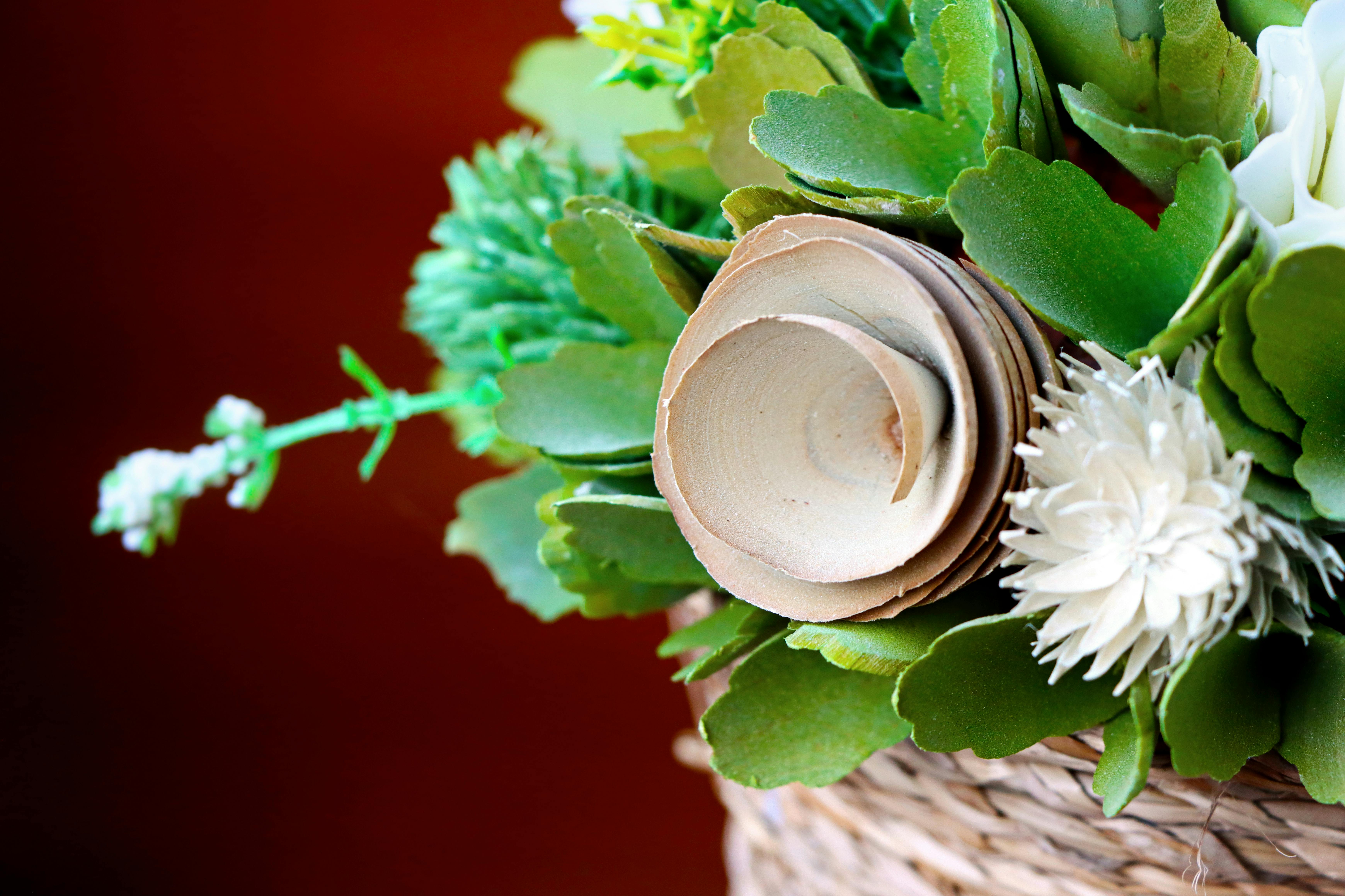 Bio-Based Compounds and Their Environmental Benefits