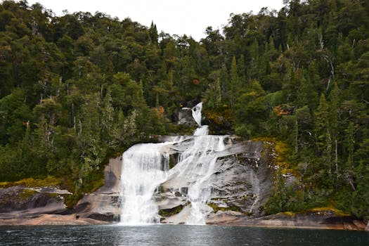 Breathtaking waterfall surrounded by dense forest, captured during daytime, showcasing natural beauty.