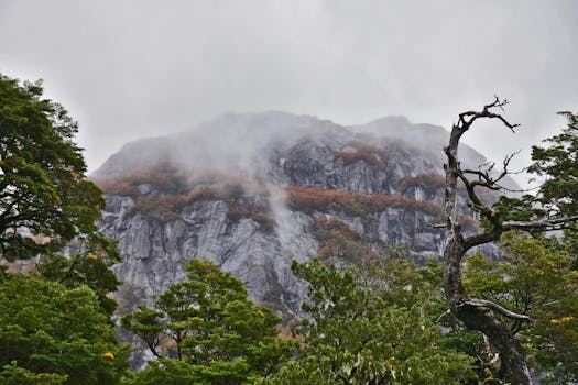 A misty view of a rugged mountain surrounded by lush autumn foliage and trees.