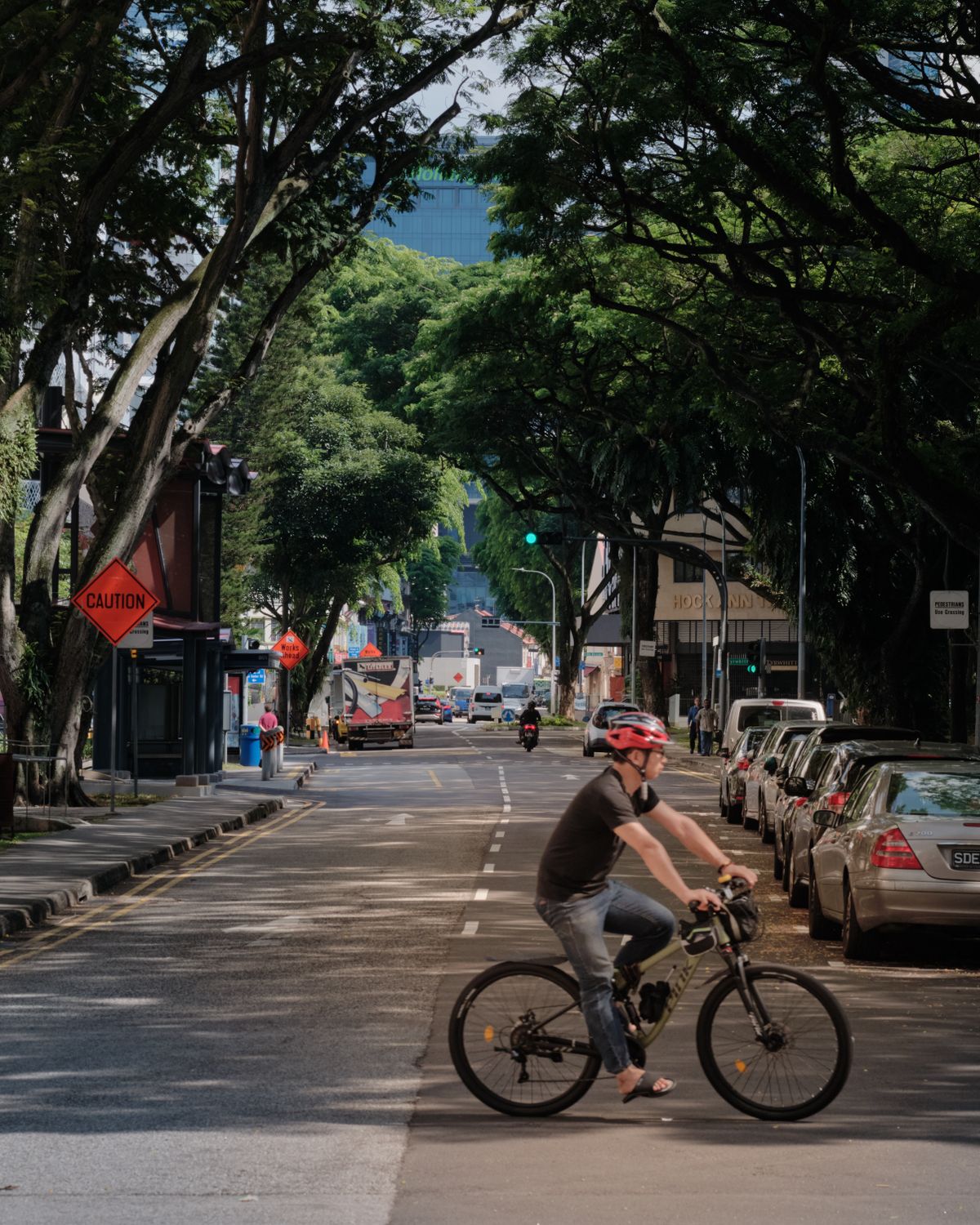 Helmeted cyclist riding through a tree-lined urban street