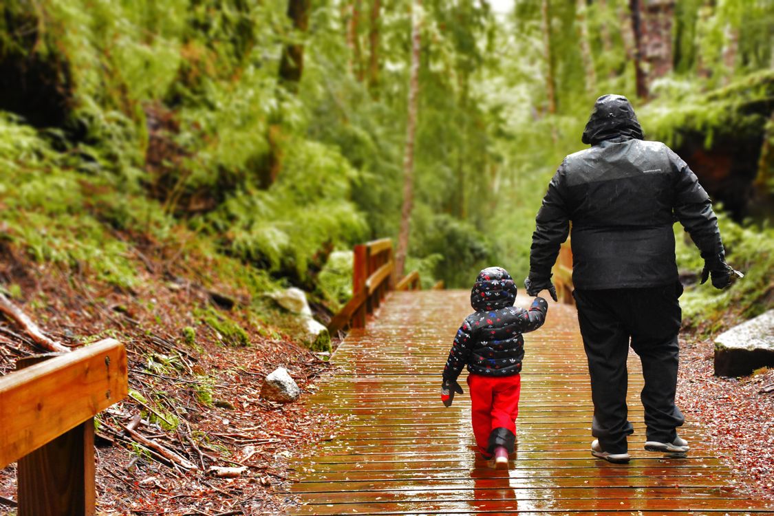 Father and Son Walking Hand in Hand on Rainy Day · Free Stock Photo