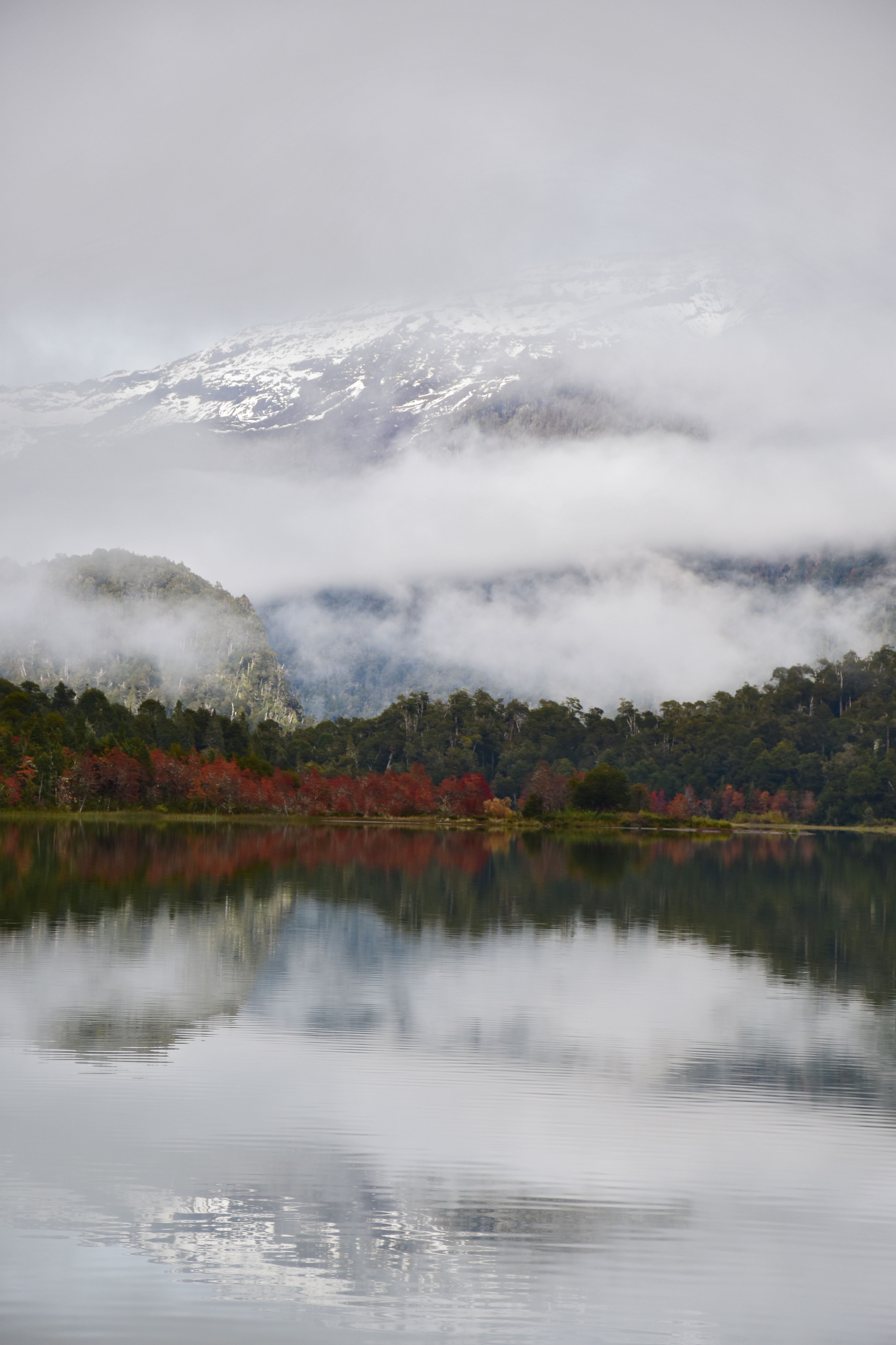 Misty Mountain Lake Reflection in Fall · Free Stock Photo