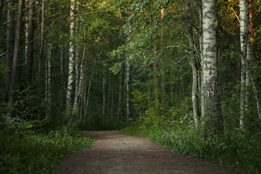 Photo by Lauri Poldre