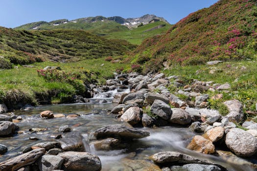 A tranquil alpine stream flowing through a lush mountain landscape under a clear blue sky.