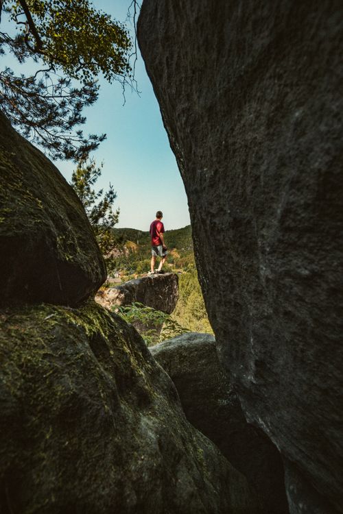 Free A man stands on a cliff edge surrounded by lush nature in Zittau, Germany. Stock Photo