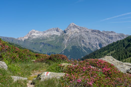 Stunning view of alpine mountains and vibrant flowers under a clear blue sky.