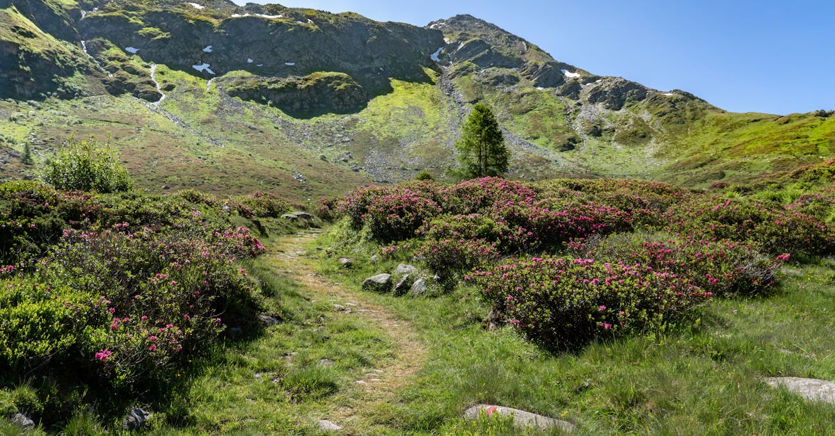 普京避席巴西金磚峰會 國際刑事法院逮捕令成最大關鍵