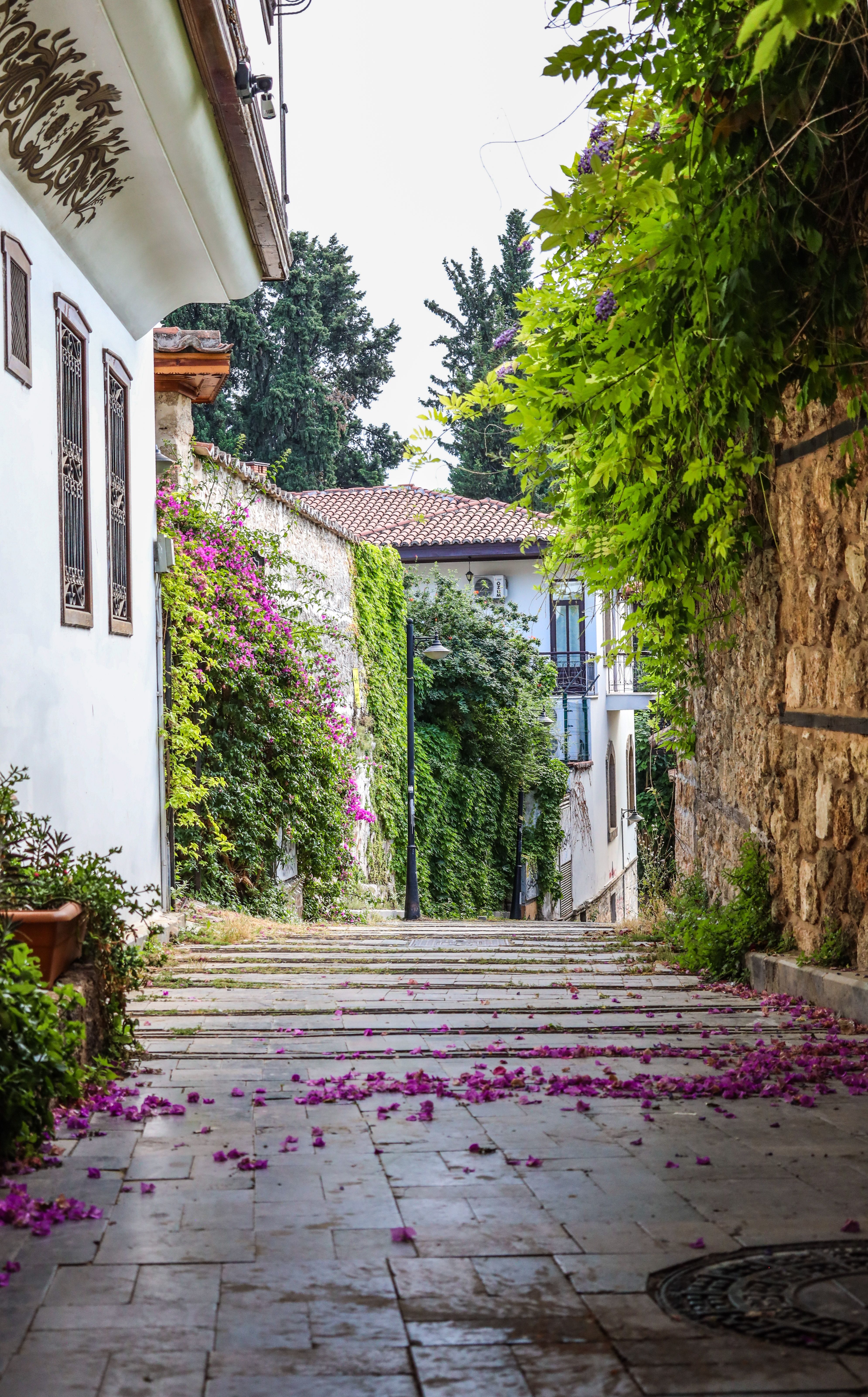 Flower-lined street in Kaleici old town in Antalya, Turkey, a nearby urban highlight for travelers arriving through Antalya Airport.