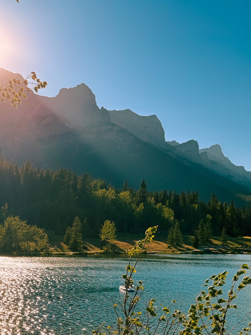콜로이-수바 숲 보호구역 갤러리 이미지