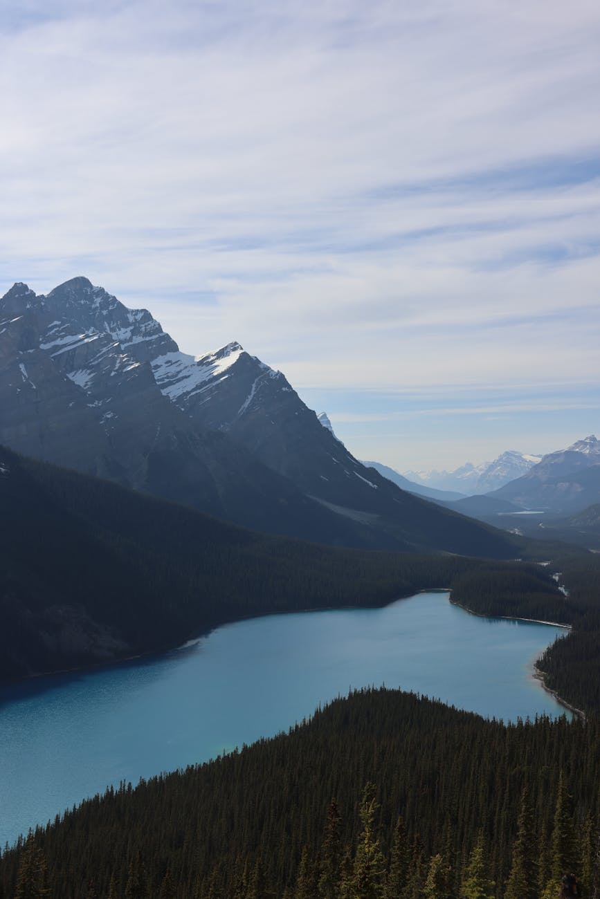 콜로이-수바 숲 보호구역 갤러리 이미지