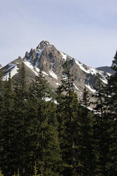 A majestic mountain peak with snow and lush pine trees under a clear sky.