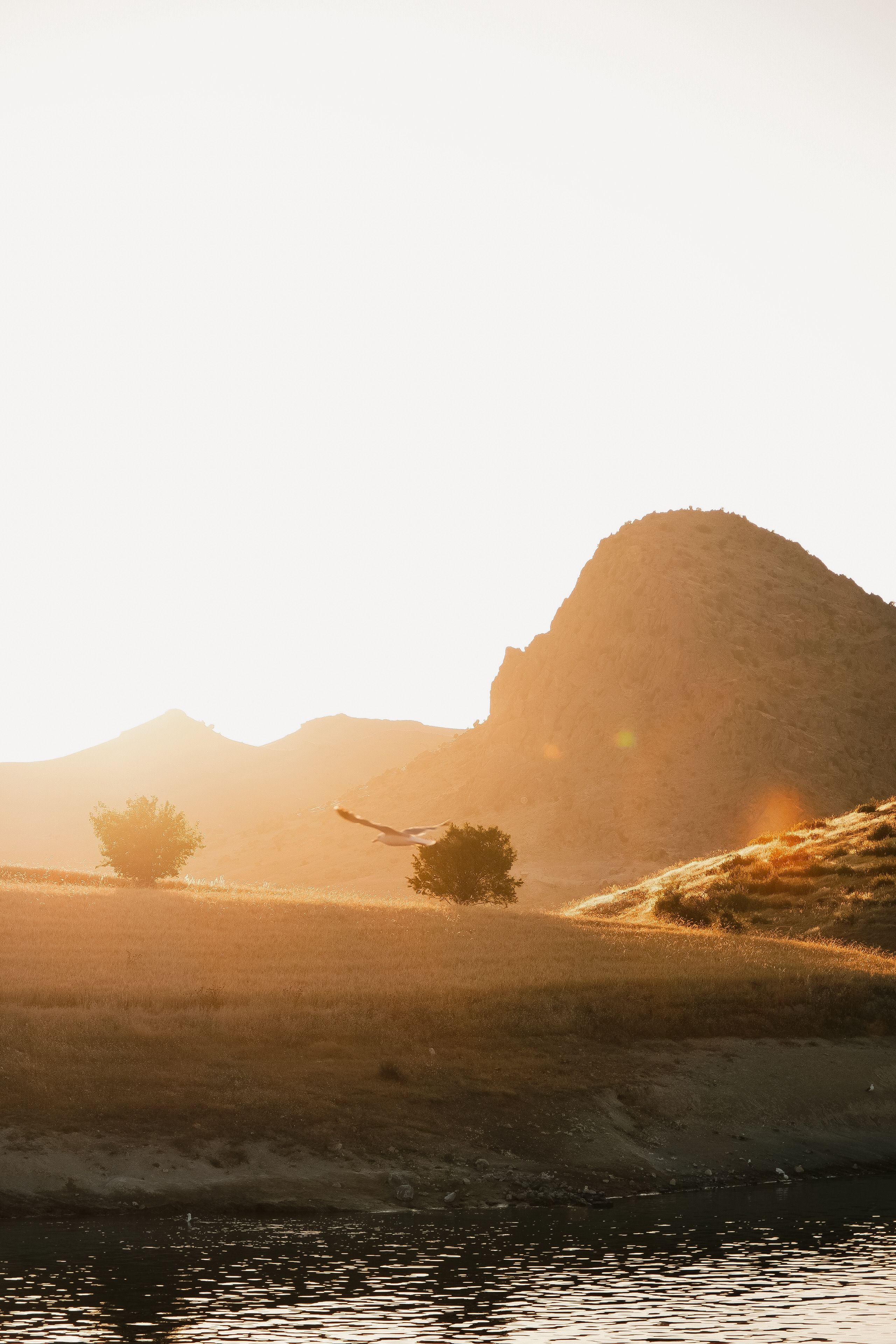 Golden Sunset Over Serene River Landscape · Free Stock Photo