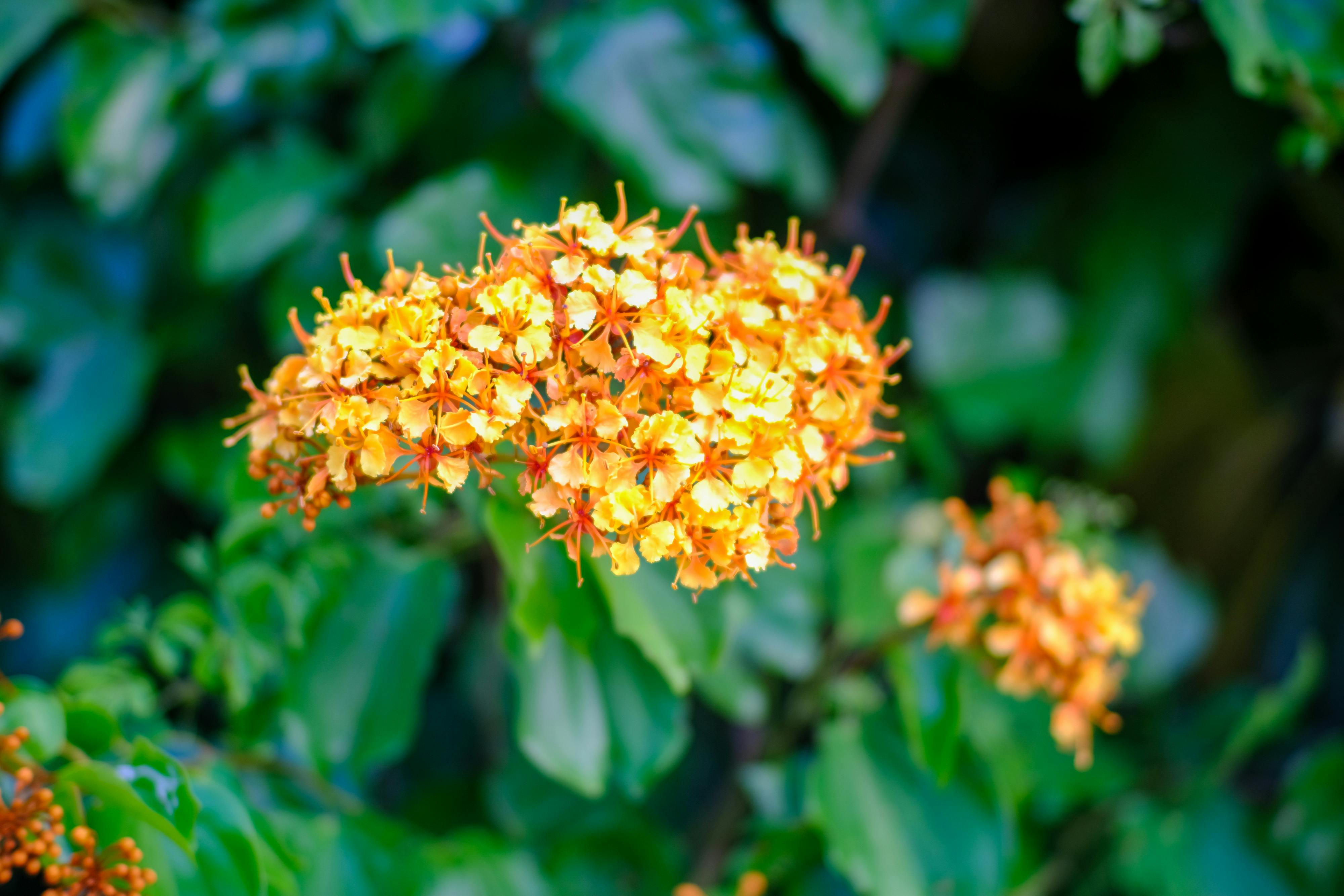 Gieo trồng hạnh phúc | Chương 15