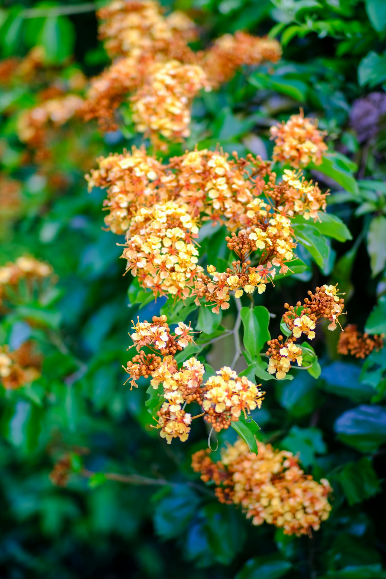 Cách dùng review khách sạn để tăng lượt bán phòng