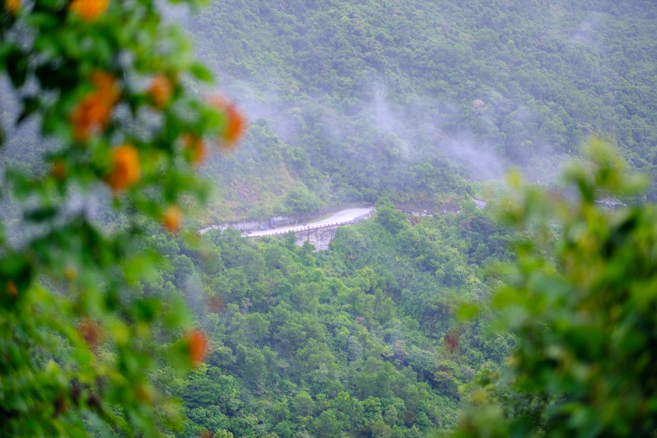 Tứ vô lượng tâm (Brahmavihāra – 四無量心) là gì?