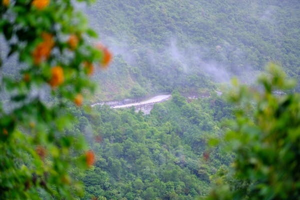 Trung tâm nghiên cứu văn học, phát triển nhà văn Việt Nam