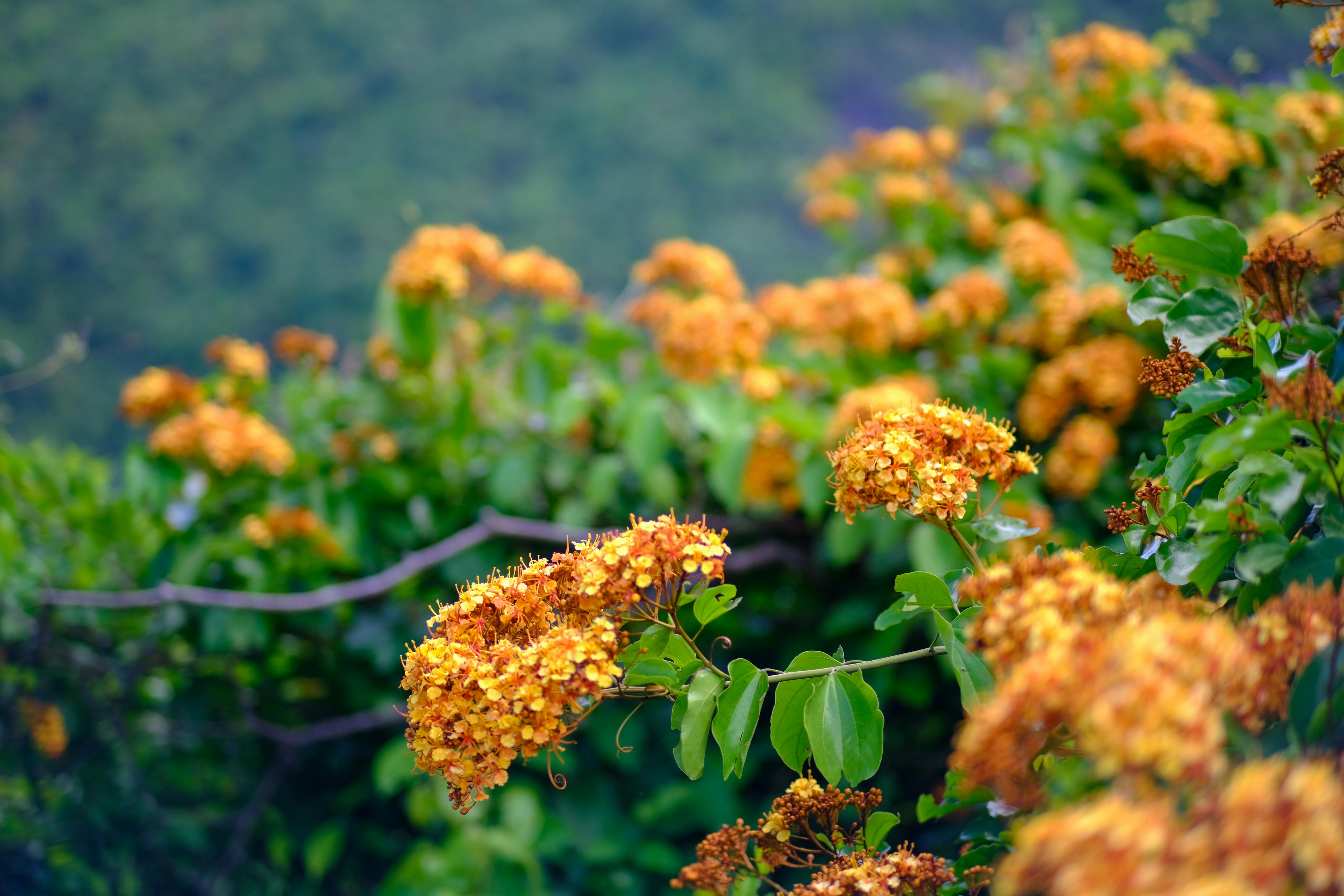 Gieo trồng hạnh phúc | Chương 25