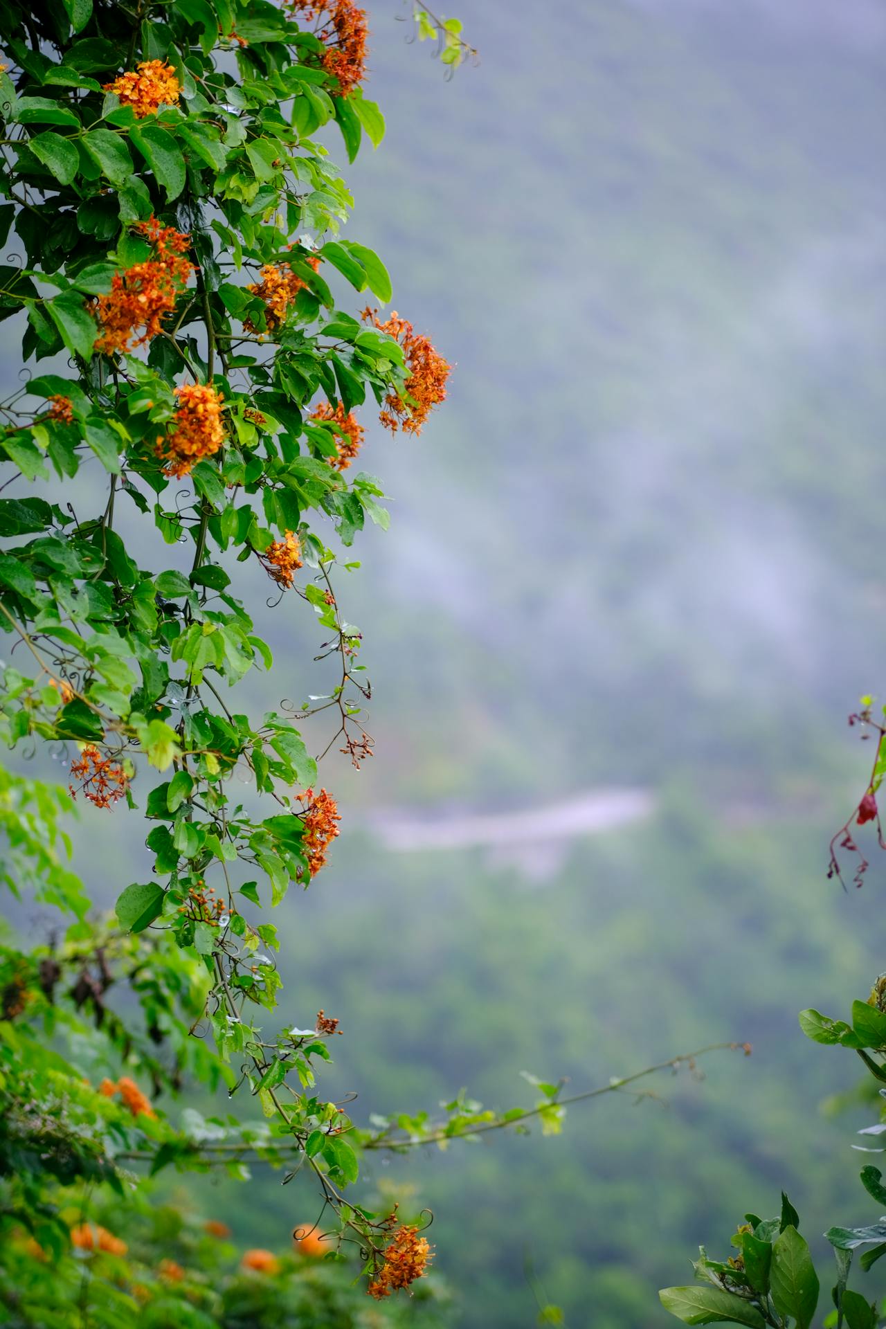 Thám tử lừng danh Conan | Chương 0459