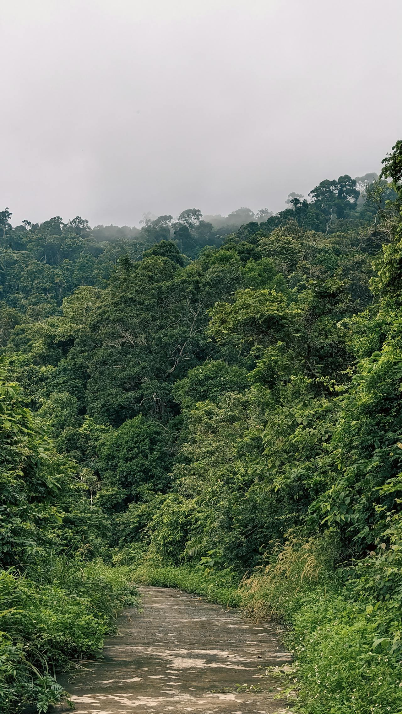 Đạo Phật của tuổi trẻ | Chương 02