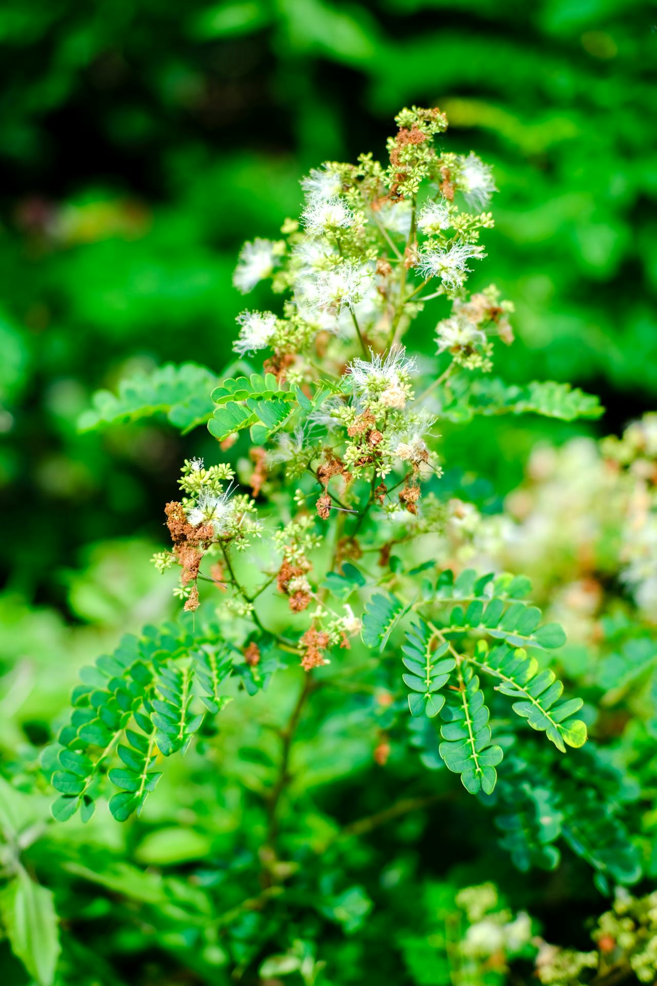 Gián điệp mạng | Chương 40