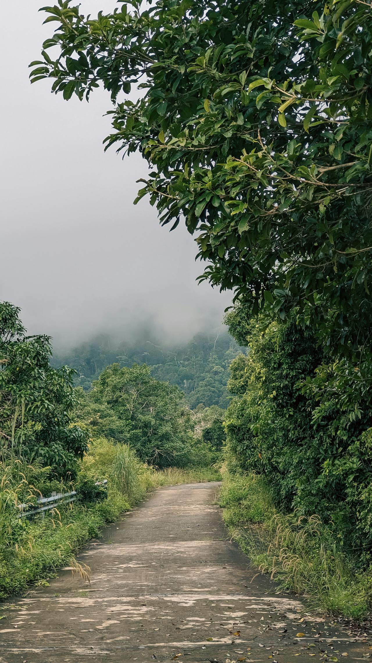 Thám tử lừng danh Conan | Chương 0507