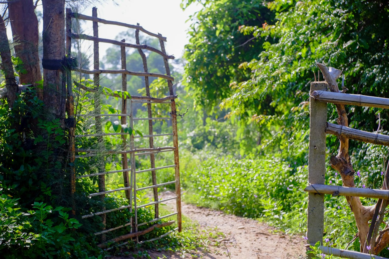 6 loại thuốc lối sống để sống khỏe lâu hơn