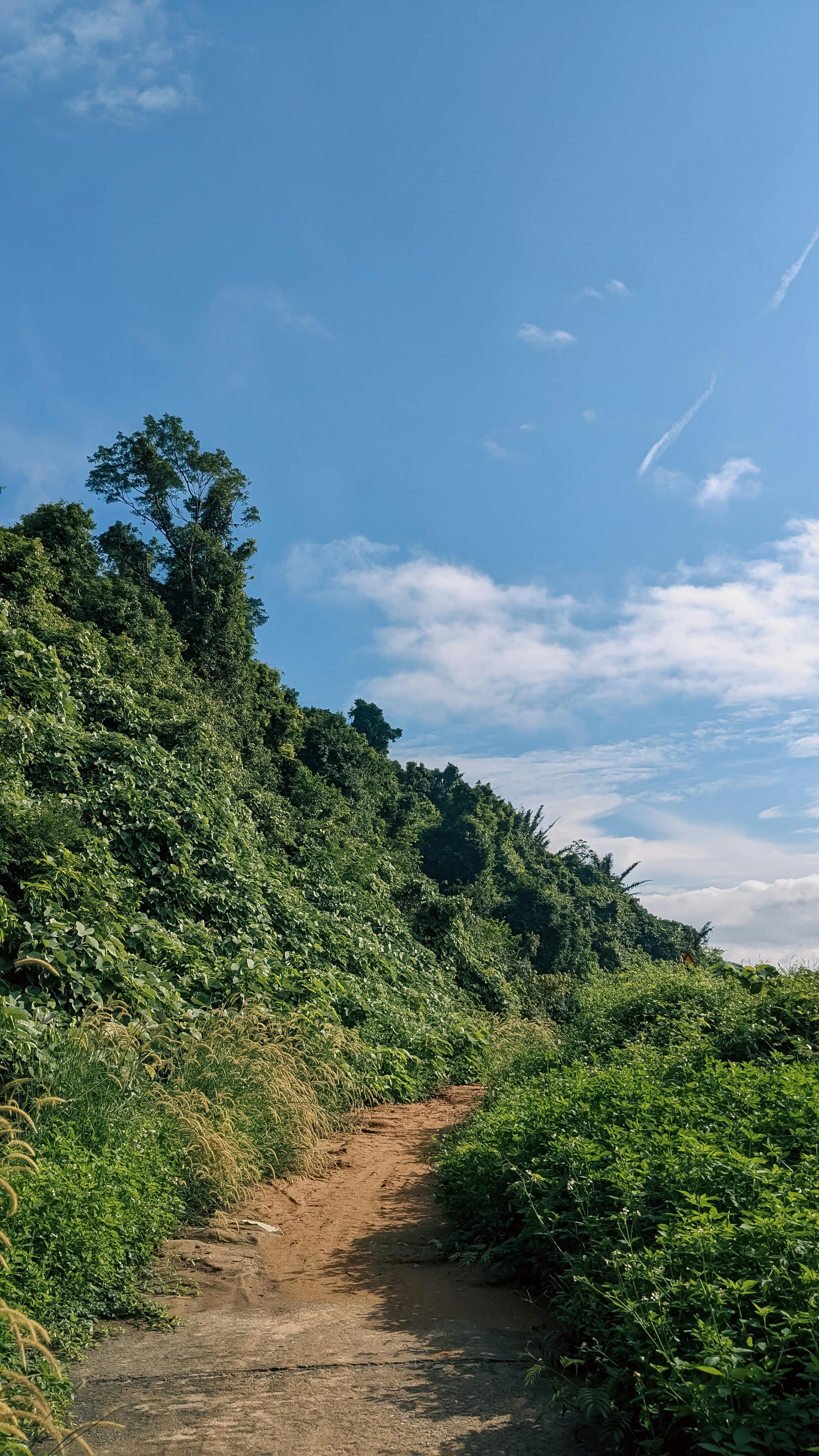 Gieo trồng hạnh phúc | Chương 33. 641 – thu vien, van hoc, van hoc viet nam, doan van, ton giao, phat giao, thien van, thuc hanh ton giao, thich nhat hanh, gieo trong hanh phuc.