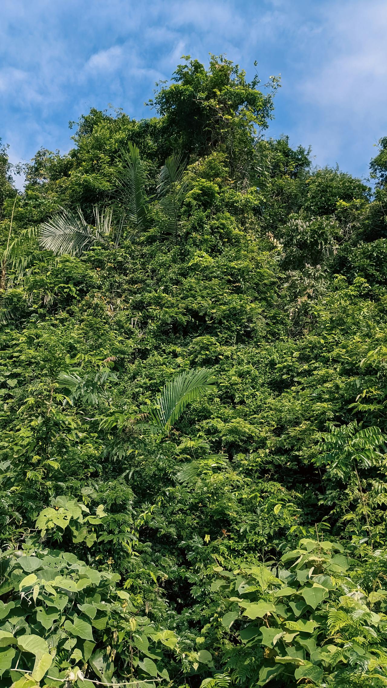 Thám tử lừng danh Conan | Chương 0862