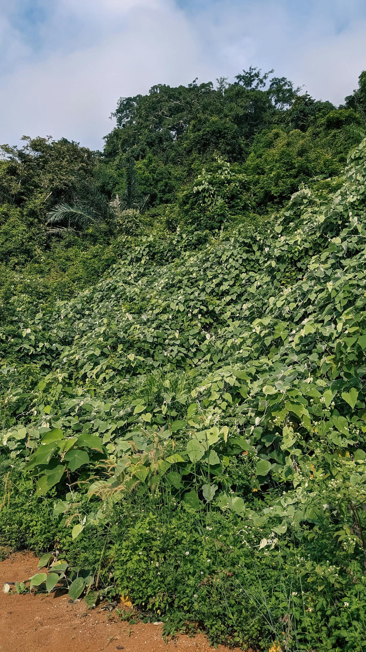 Làm sao để tạo điểm nhấn cảm xúc trong câu chuyện?