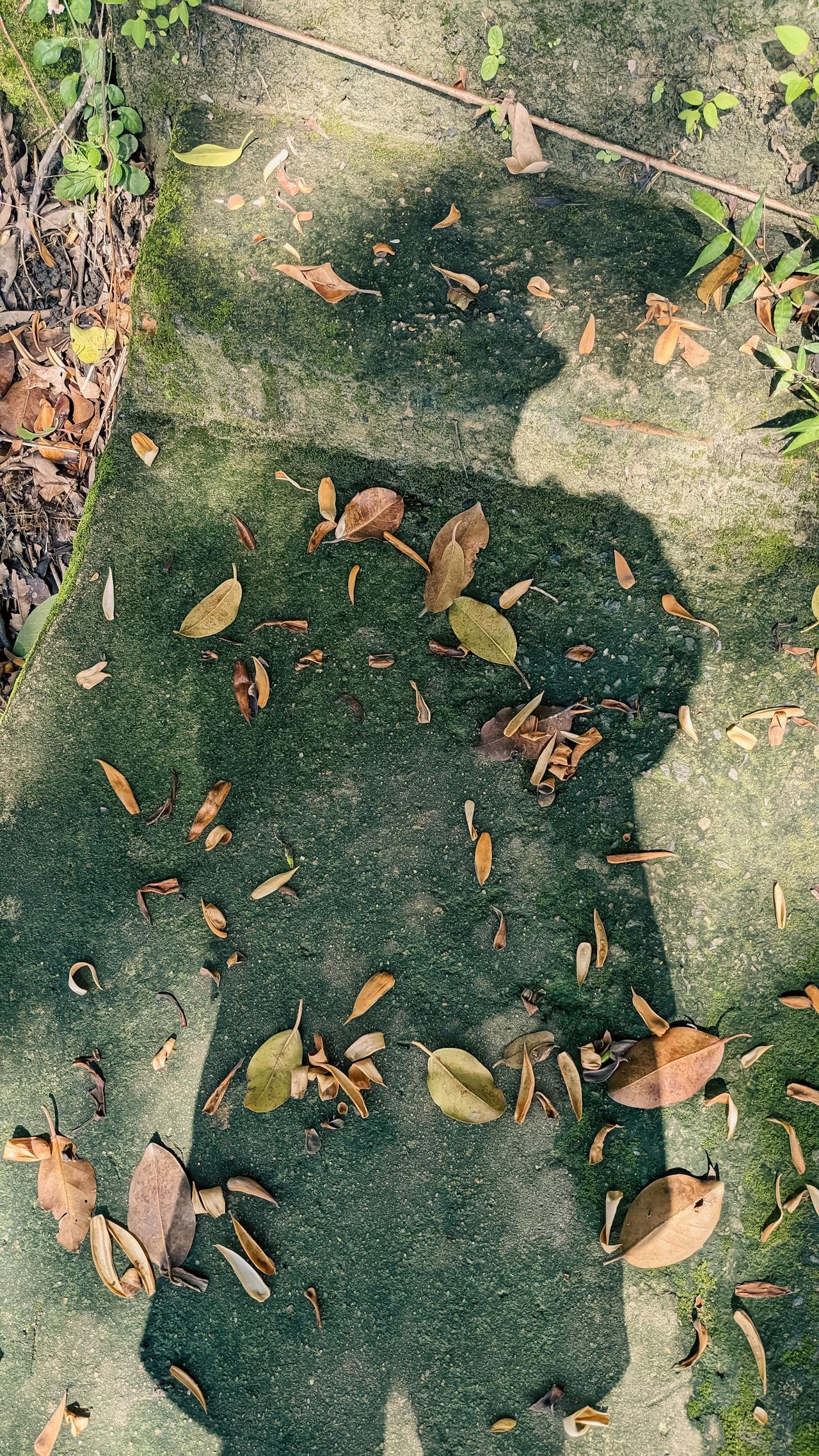 Trái đất có phải là trung tâm của vũ trụ không?