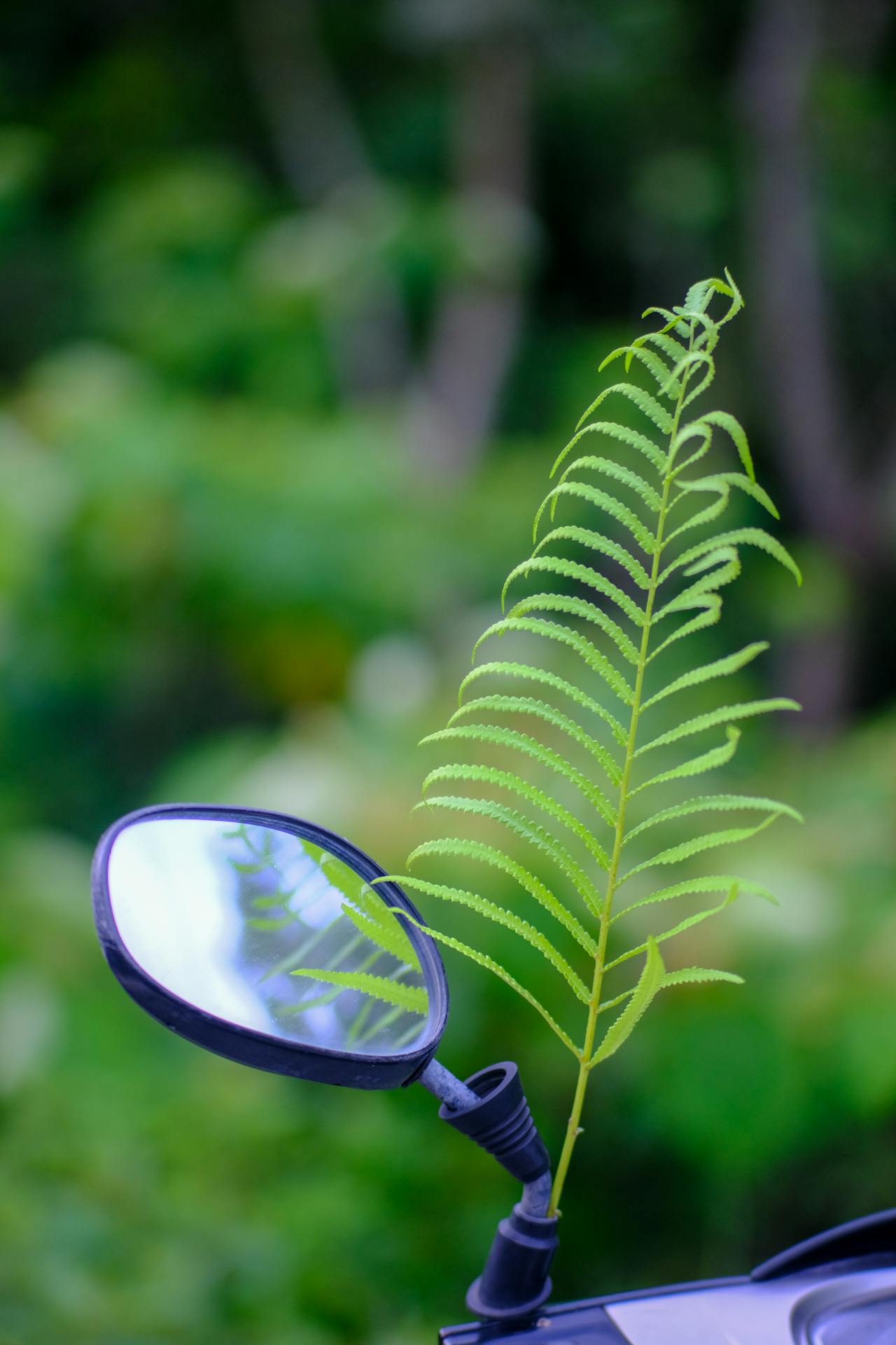 Thám tử lừng danh Conan | Chương 1071