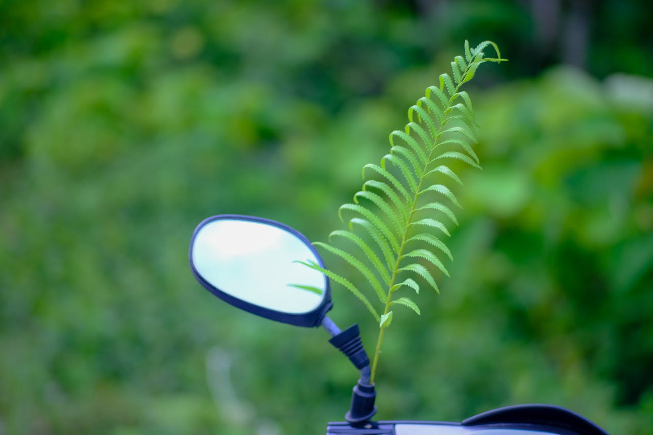 Thám tử lừng danh Conan | Chương 0783