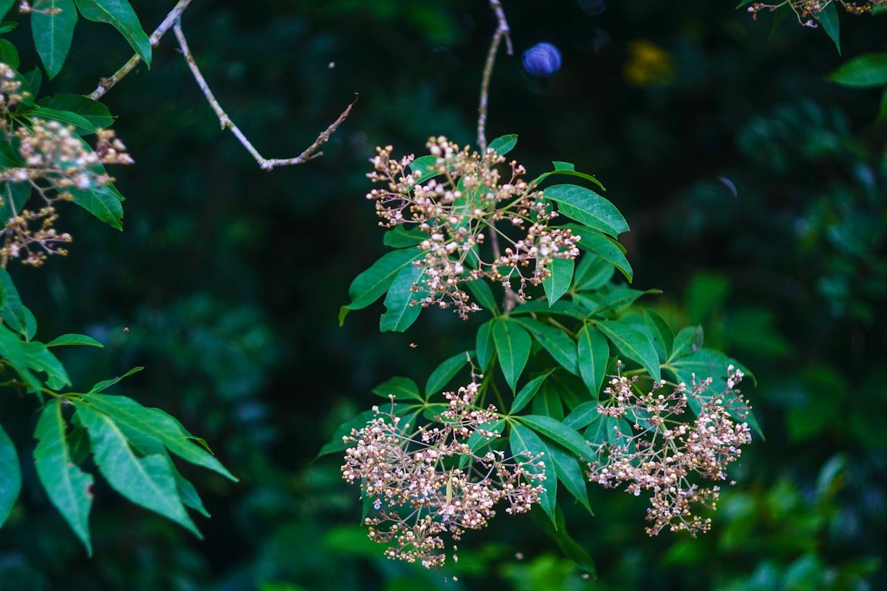 Thám tử lừng danh Conan | Chương 0214