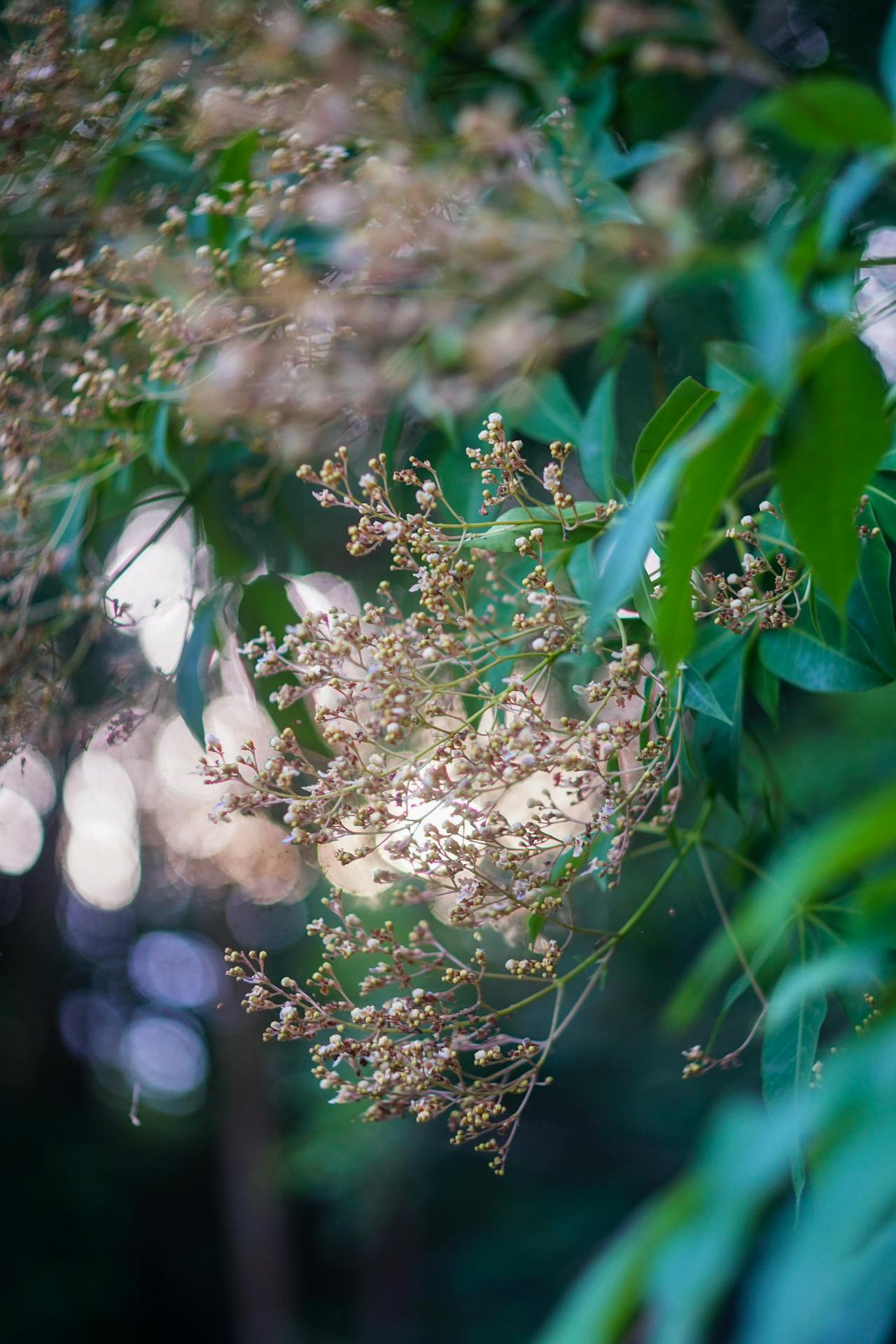 Thám tử lừng danh Conan | Chương 0837