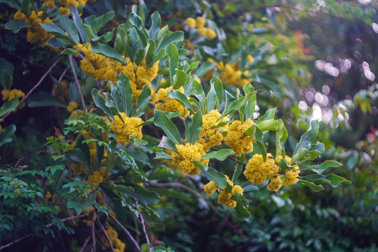 Tài liệu ôn thi tốt nghiệp THPT môn Ngữ văn 2026 – Hướng dẫn viết bài nghị luận thơ