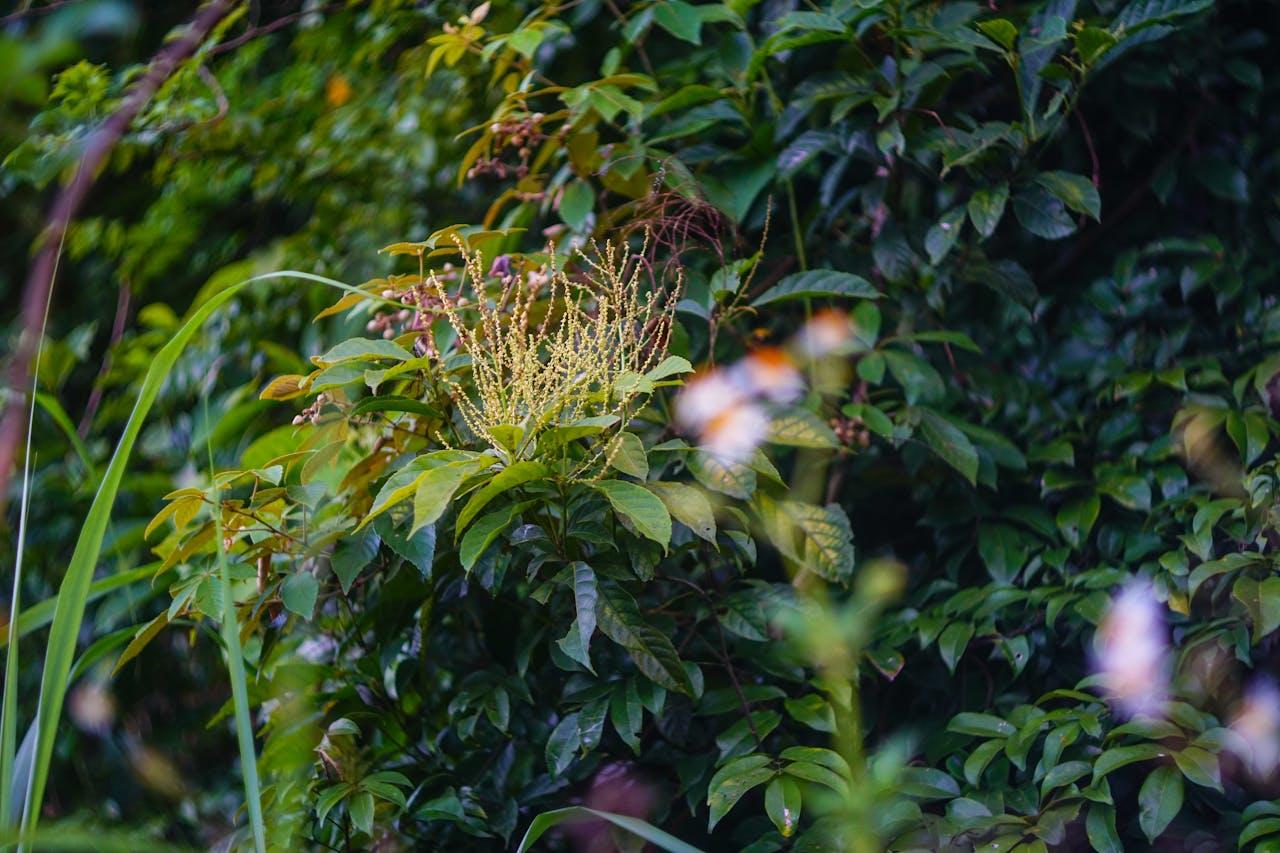 3 lợi ích của việc tích hợp POS cho nhà hàng