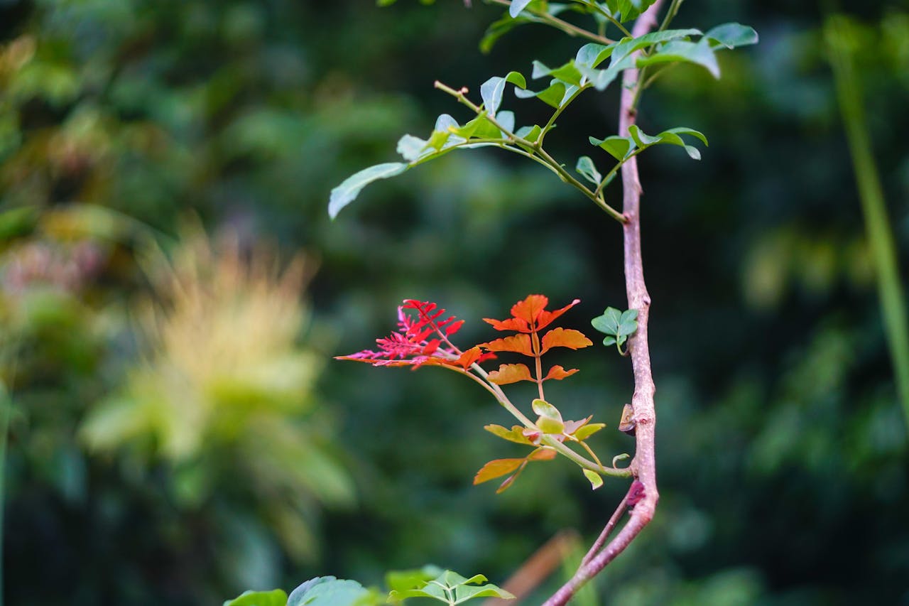 Hạnh phúc cầm tay | Chương 02