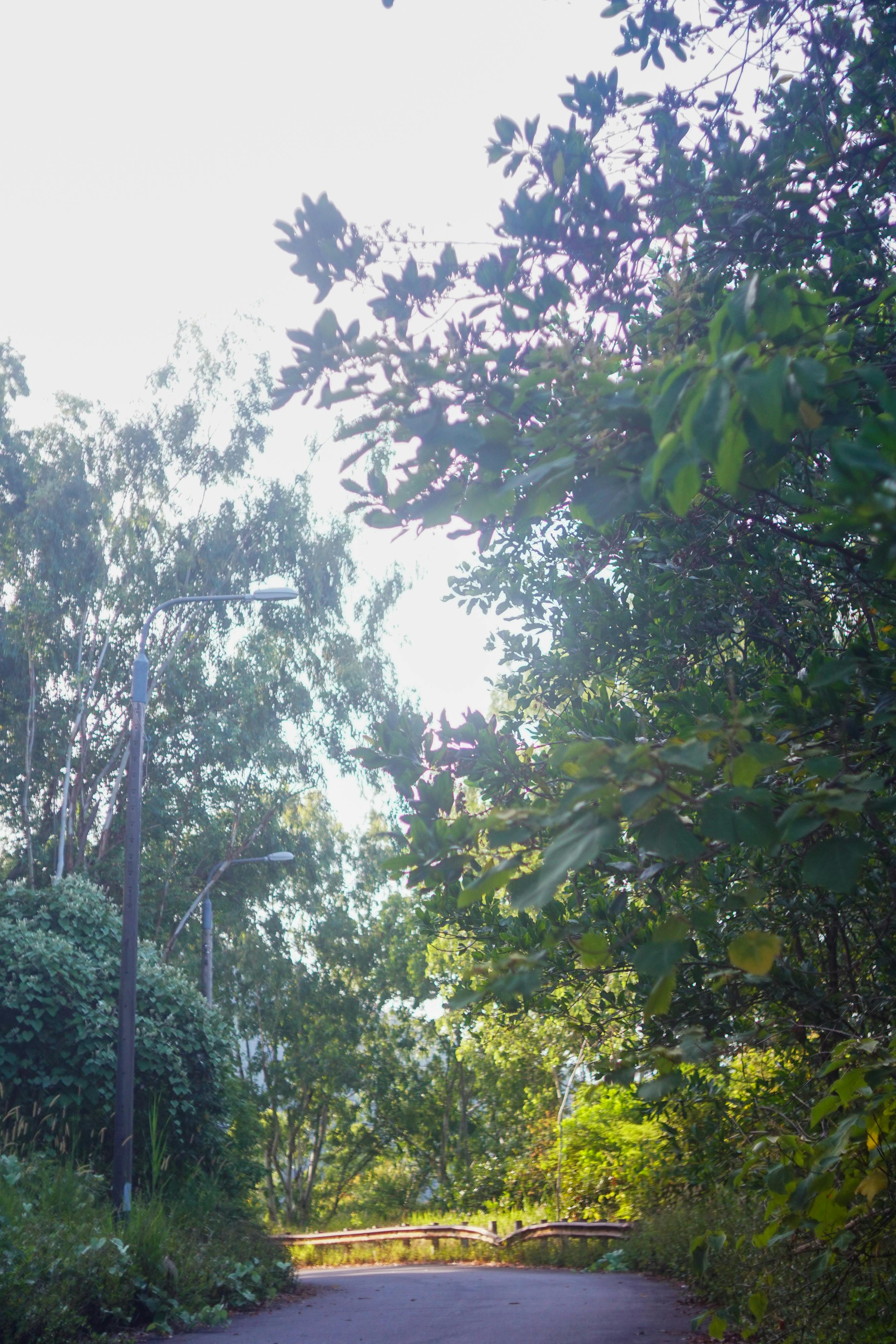 Con đã có đường đi | Chương 06