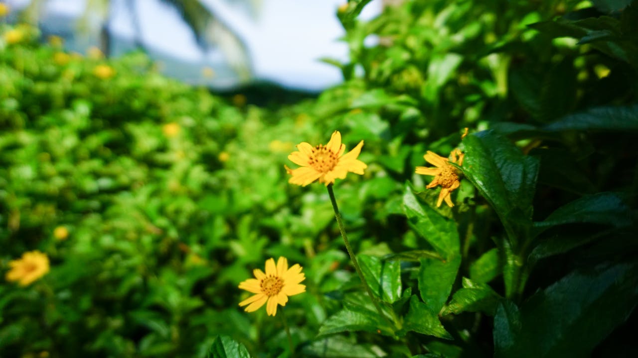 Thám tử lừng danh Conan | Chương 0721