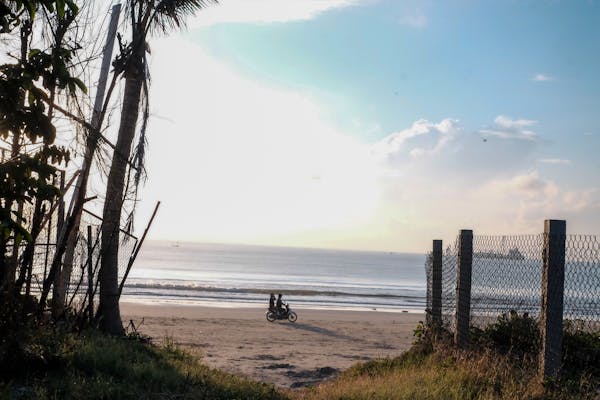 Danh sách bài viết, trang 355