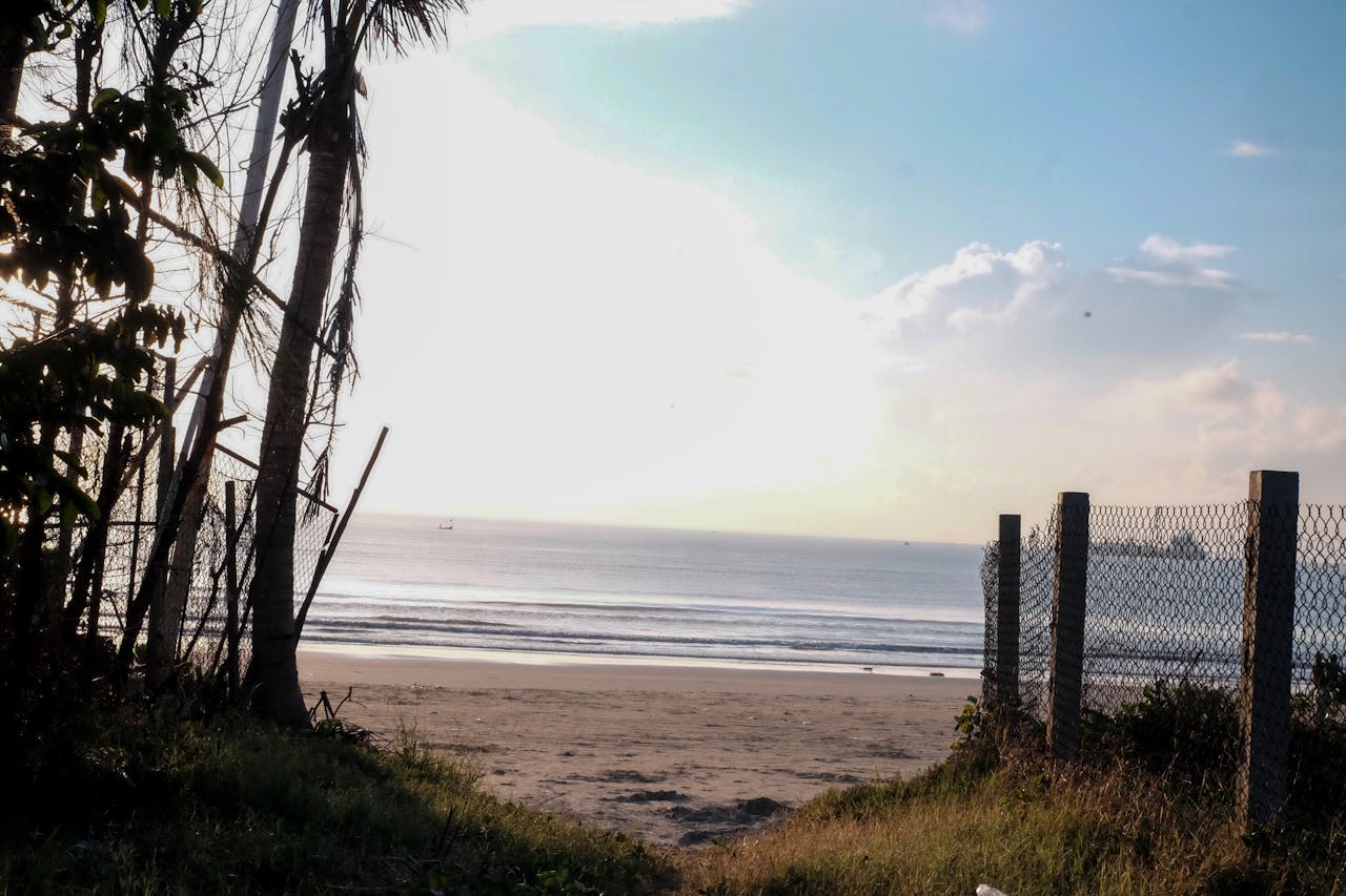 Mùa xuân vắng lặng | Chương 04