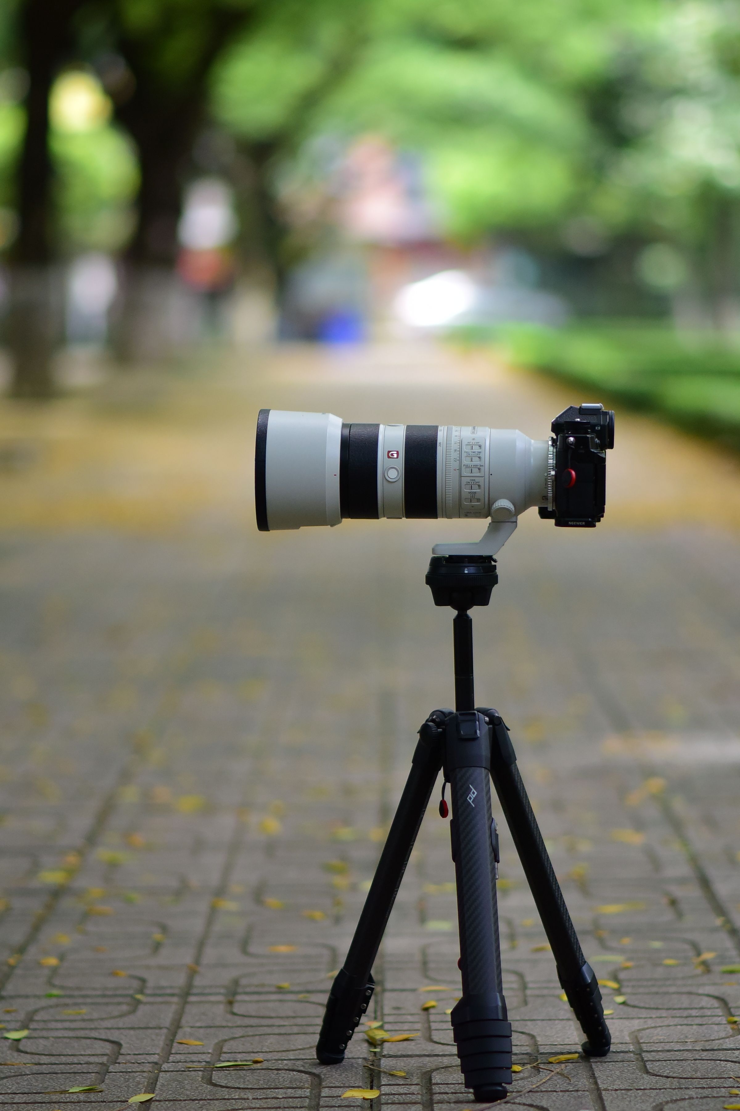 Professional Camera on Tripod in Urban Park Setting · Free Stock Photo