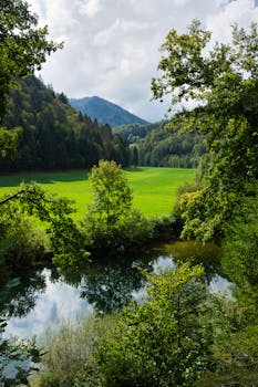                                Bach Landschaft