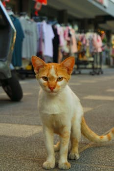 A close-up of a ginger tabby cat on a busy street, showcasing urban life.