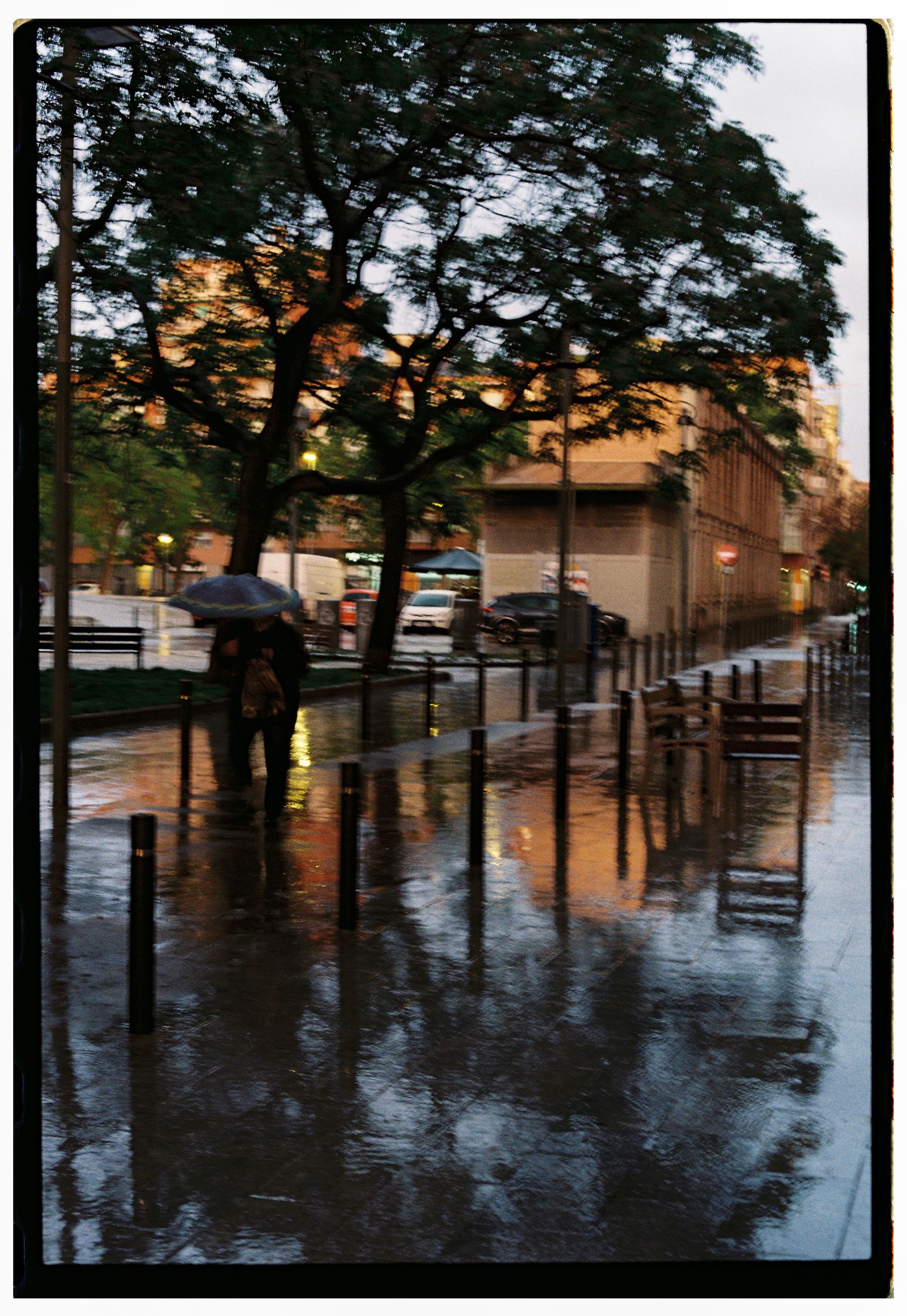 雨后街角的随手拍样片