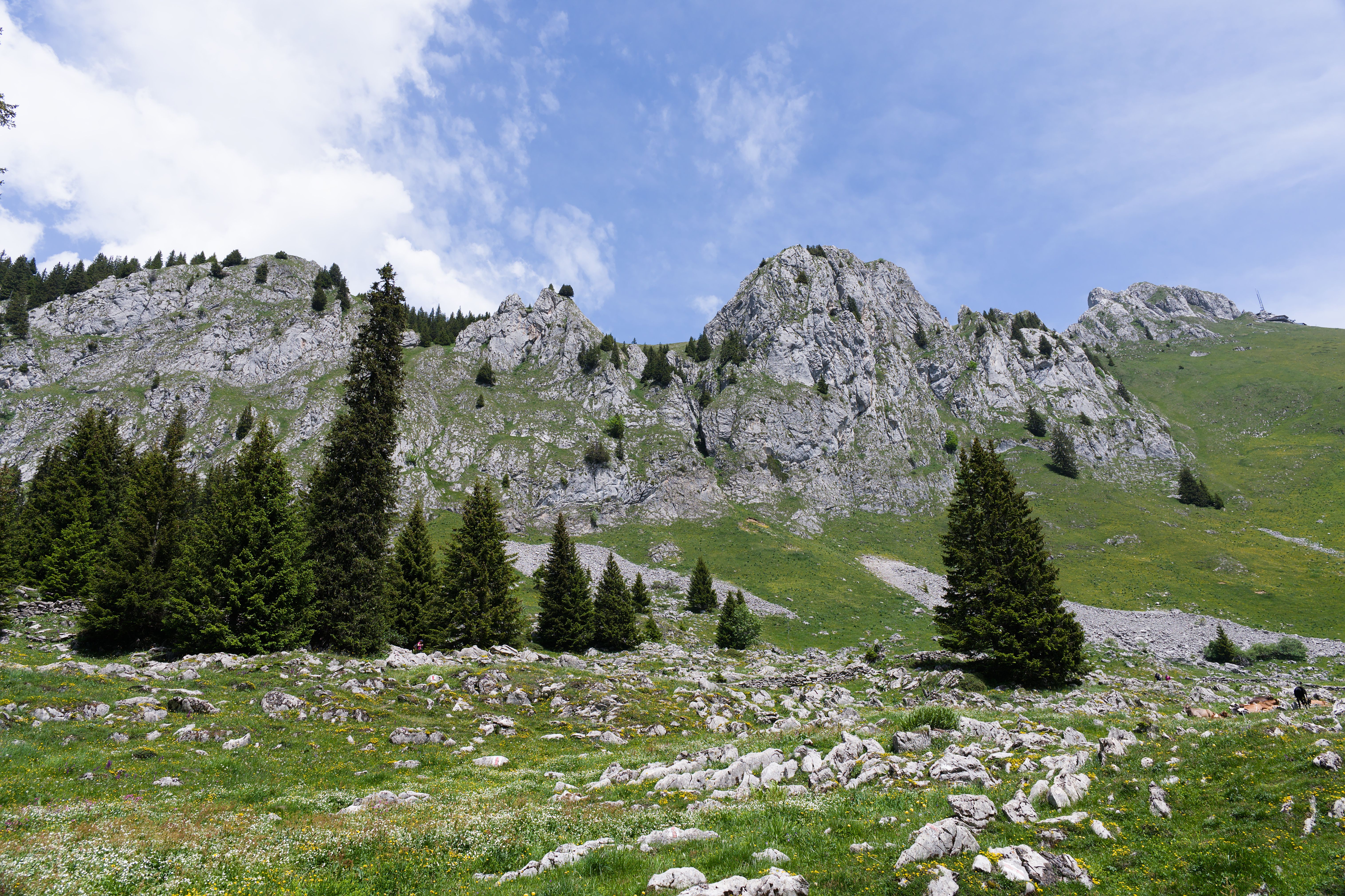 Scenic View of the Fribourg Prealps, Switzerland · Free Stock Photo